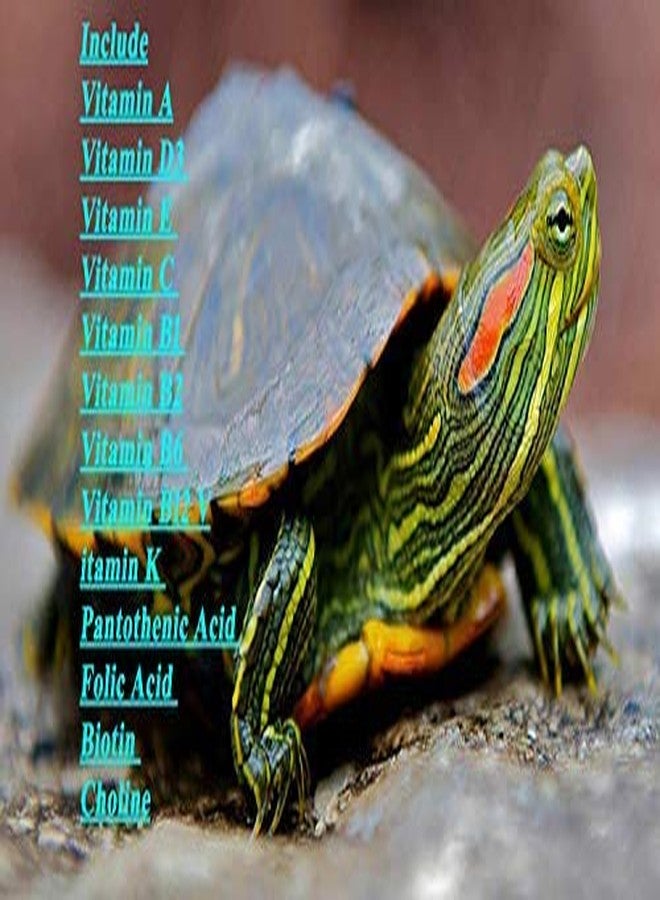 رعاية الحيوانات الأليفة الدولية Pet Care International (PCI) Turtle VIT & Turtle Cal Drop من أجل صدفة قوية وتوفير الفيتامينات والمعادن والكالسيوم الأساسية لصحة السلاحف (مجموعة) (30 مل) - Image 3